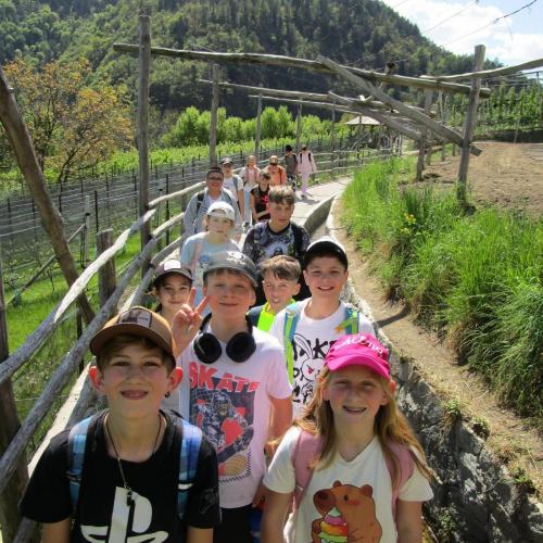 1ab_suedtirol5