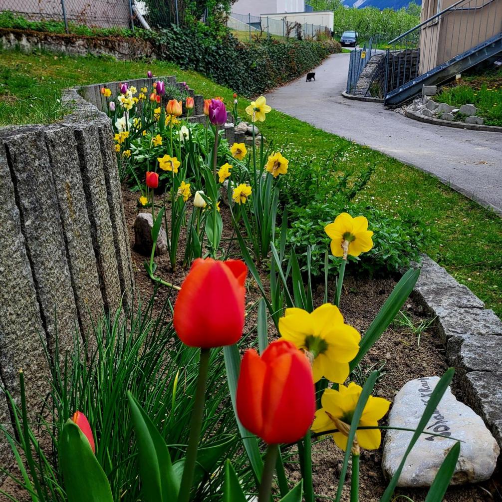 blumen1