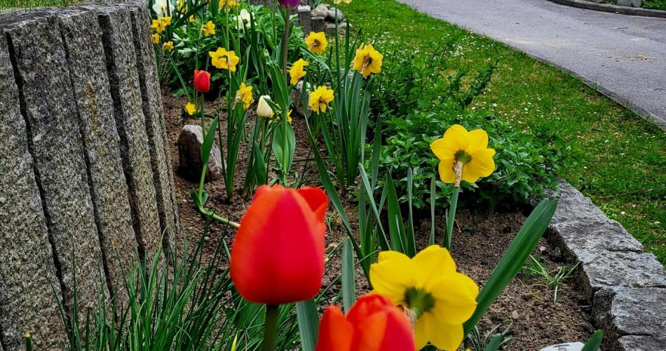 blumen1