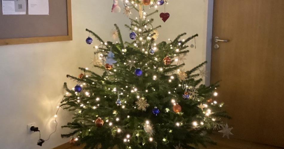 3bweihnachtsbaum